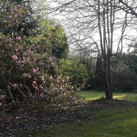 El Habana Llanes فندق