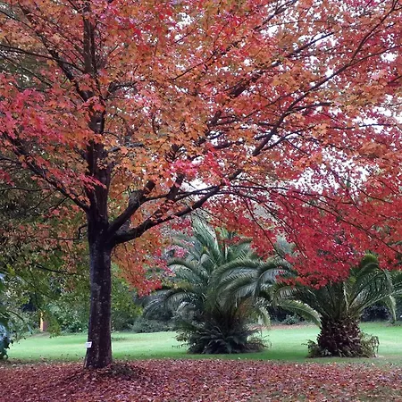 El Habana Llanes La Pereda de Llanes